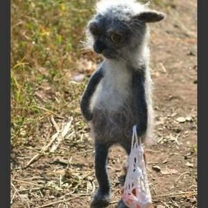 Meet your Posher, Rayburn